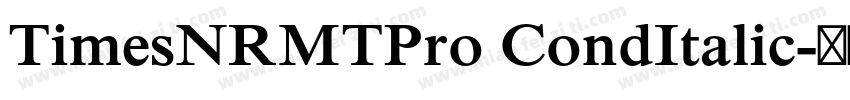 TimesNRMTPro CondItalic字体转换